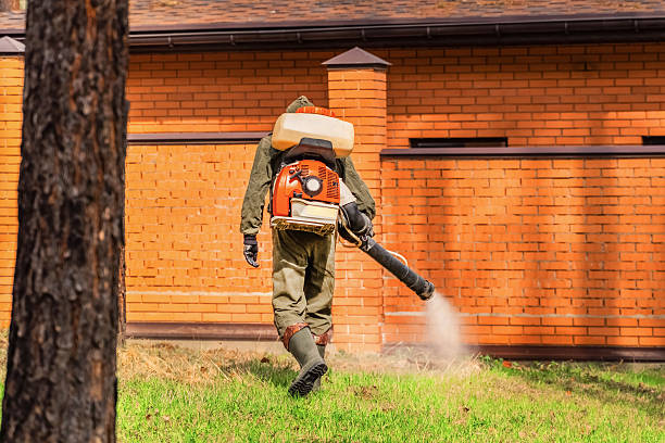 Trusted Mosquito Control service in El Cerro, NM - Nex Pest Control